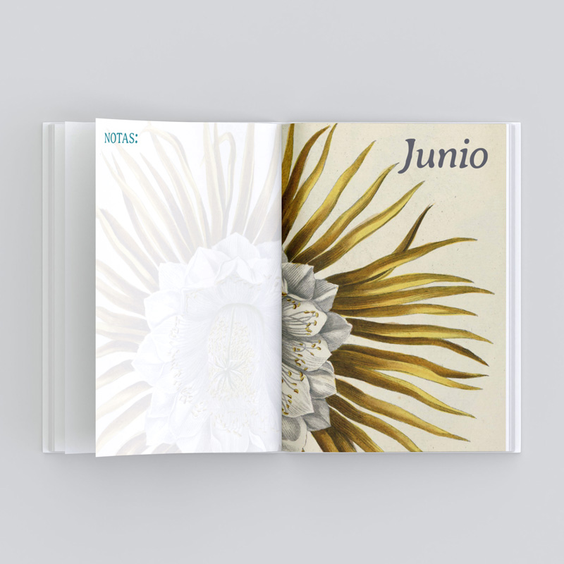 La agenda de las mujeres. Librería Mujeres de Madrid